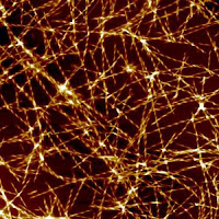This is an image, magnified a million times, of amyloid fibril, the type of protein structures that are formed in Alzheimer's. (Credit: Dr. Tuomas Knowles)