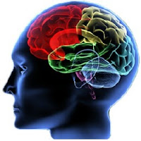 130707-brain.jpeg