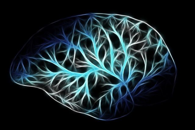 Brain, by Gerd Altmann at Pixabay